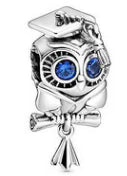 Blue Diamante Eyes Graduate Pendant Charm
